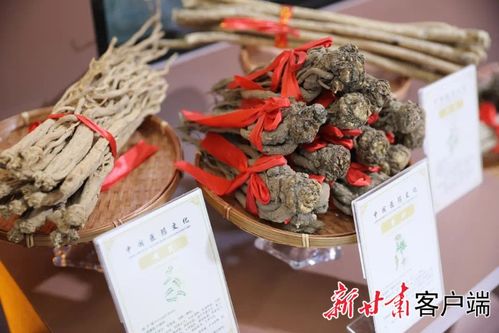 先睹為快 | 第三十屆蘭洽會生物醫藥館布展工作圓滿完成，生物制品領域亮點紛呈