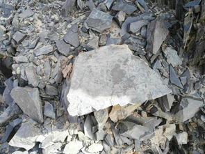 常見巖石的工程利用分析 加工碎石送往攪拌站的成本考量